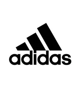 IMG 20250108 111433