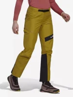 شلوار طبیعت گردیTerrex Techrock GORE TEX Pro Pants Womens