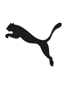 IMG 20250330 191633 265 1 1