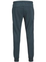 جاگر جیب مشکیjack&jones - Image 2