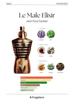 عطر Le Male Elixir Absolu - Image 4