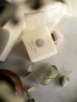 عطر Ashore - Image 4