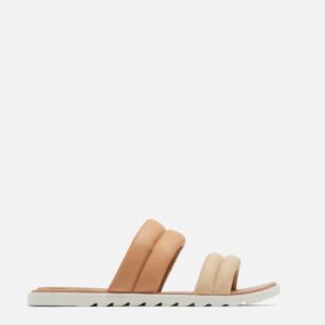 صندل سورل کانادایی