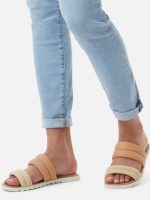 صندل سورل کانادایی - Image 5